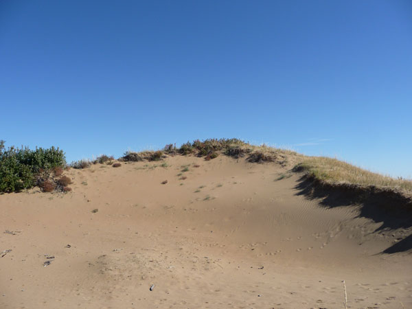 Dunes