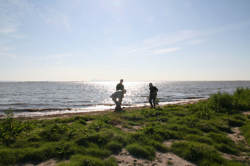shores of Pakowki Lake