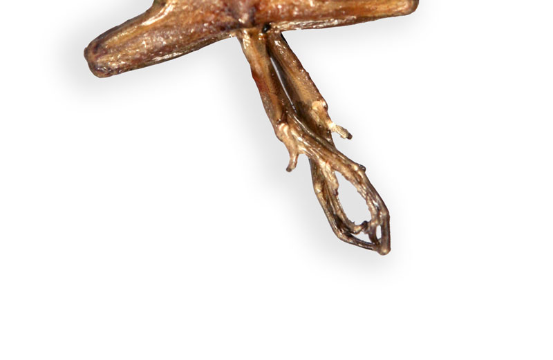 spades on edward's rear feet